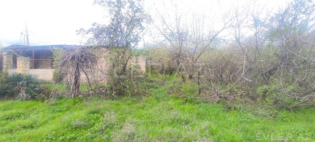 Satılır, torpaq