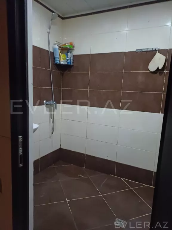 Aylıq, yeni tikili