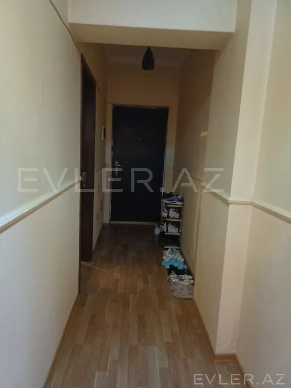 Aylıq, yeni tikili