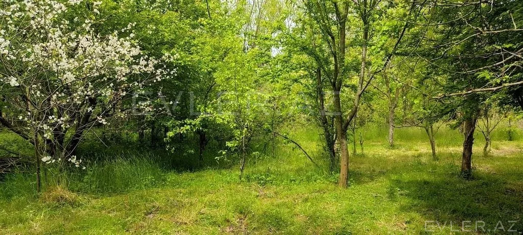 Günlük, bağ evi