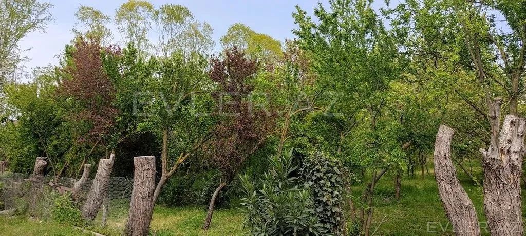 Günlük, bağ evi