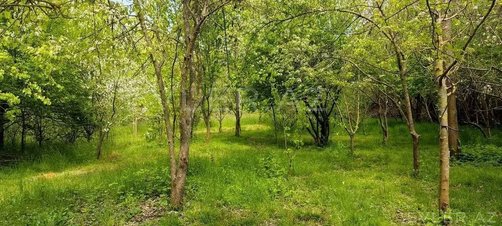 Günlük, bağ evi