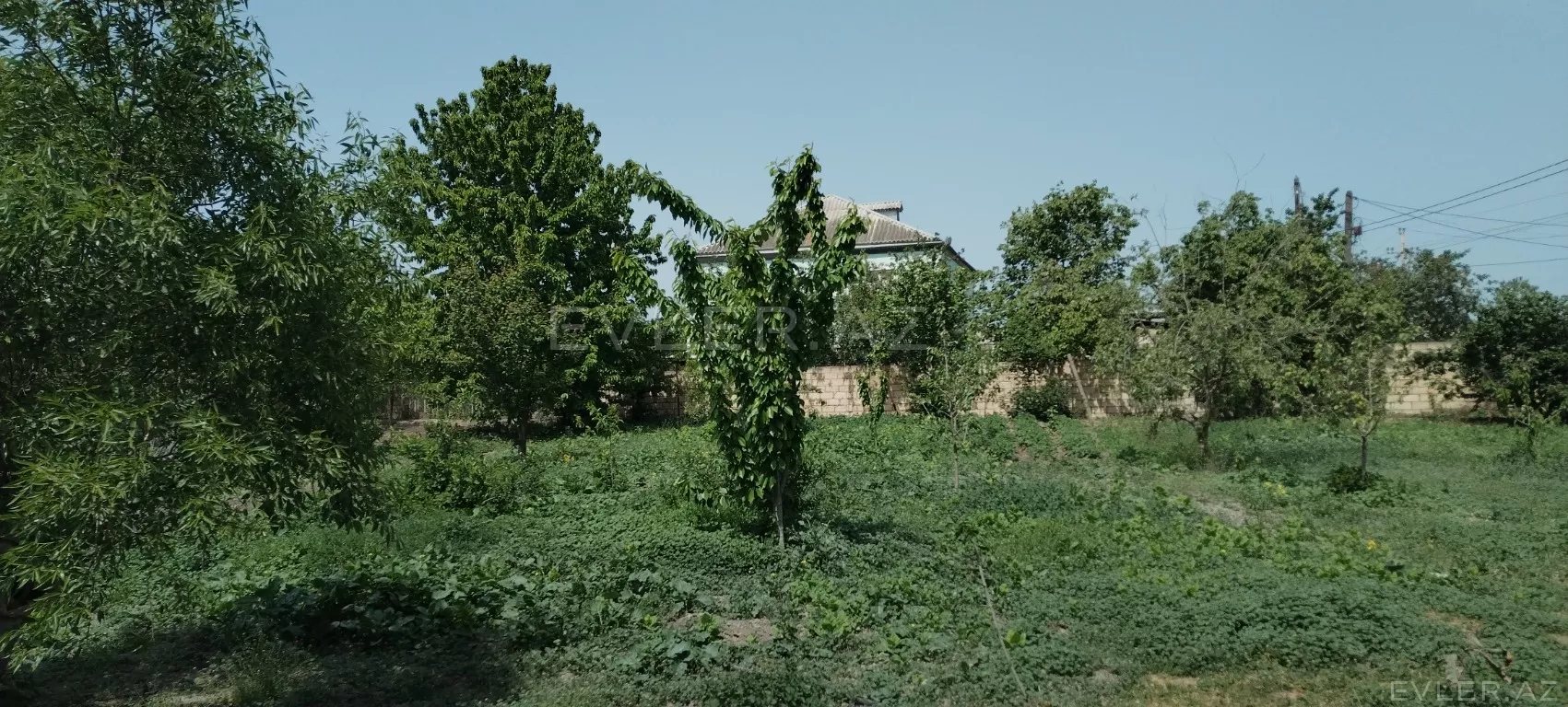 Satılır, həyət evi/villa