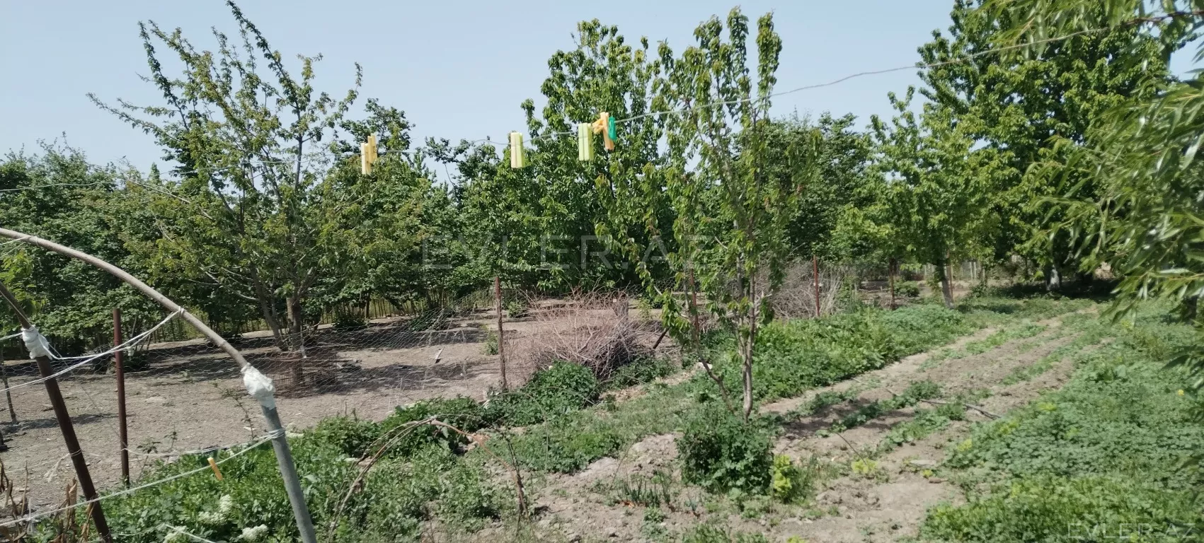 Satılır, həyət evi/villa