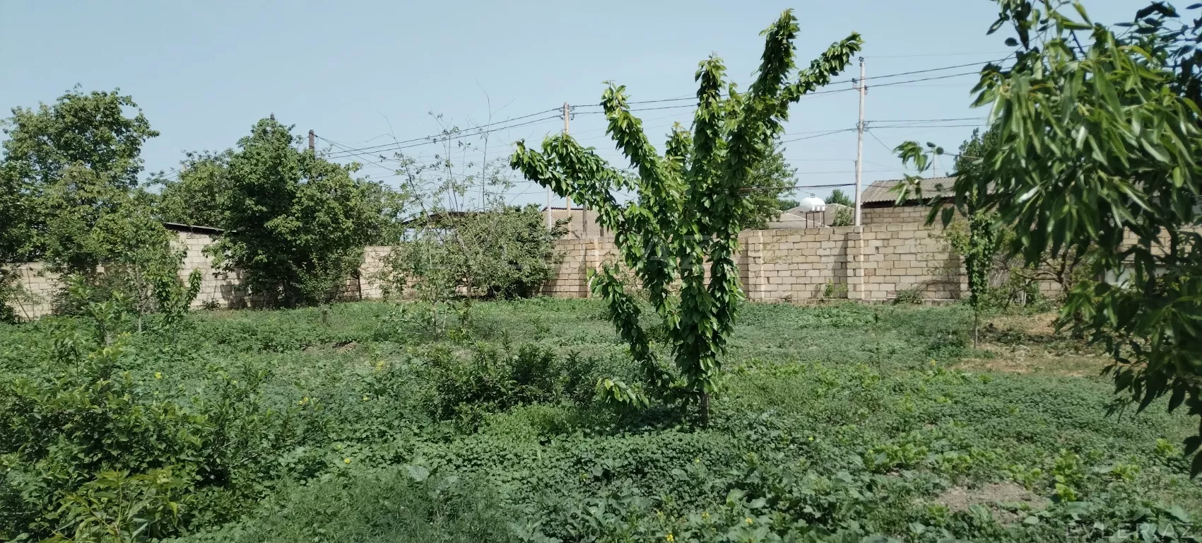 Satılır, həyət evi/villa