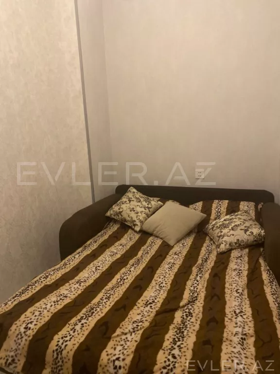 Aylıq, yeni tikili
