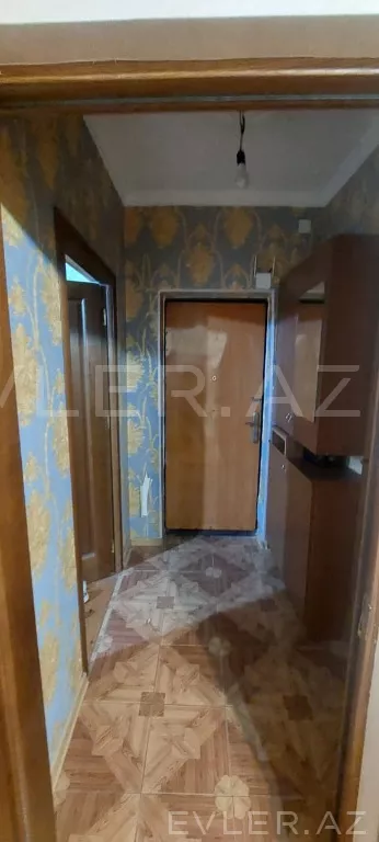 Aylıq, yeni tikili