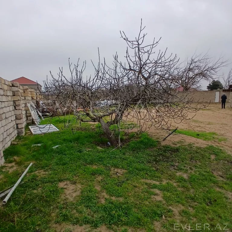 Satılır, torpaq