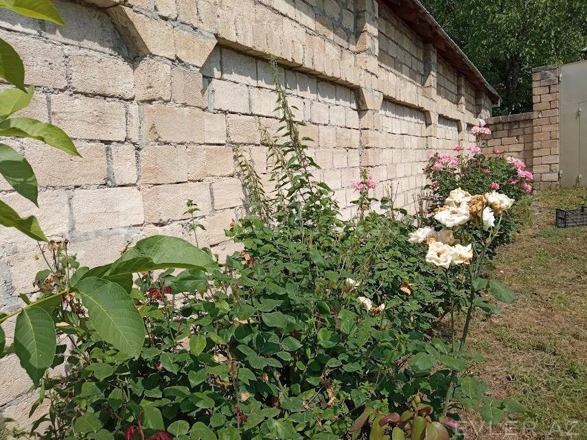 Satılır, həyət evi/villa