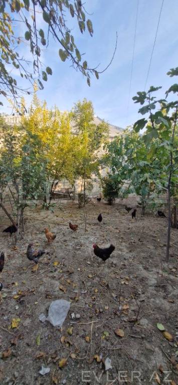 Satılır, həyət evi/villa