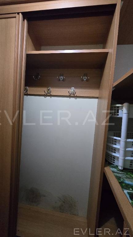 Aylıq, yeni tikili