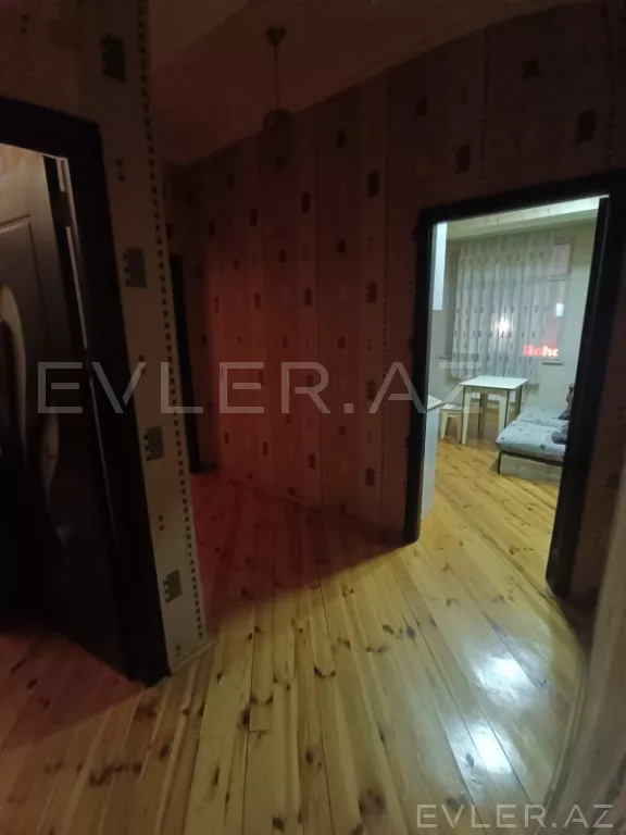 Aylıq, yeni tikili