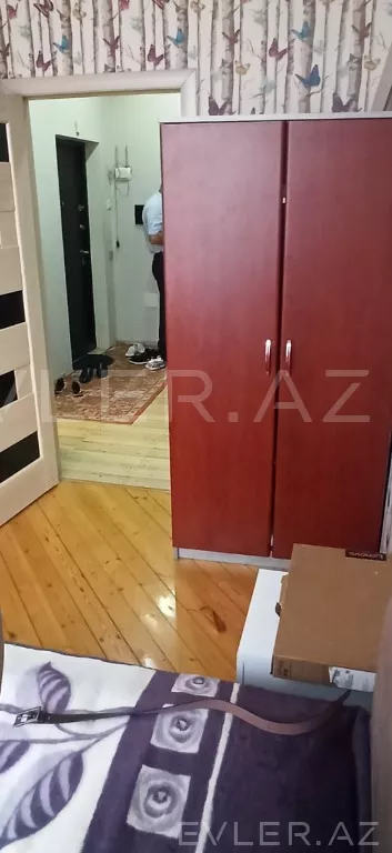 Aylıq, yeni tikili