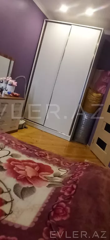 Aylıq, yeni tikili