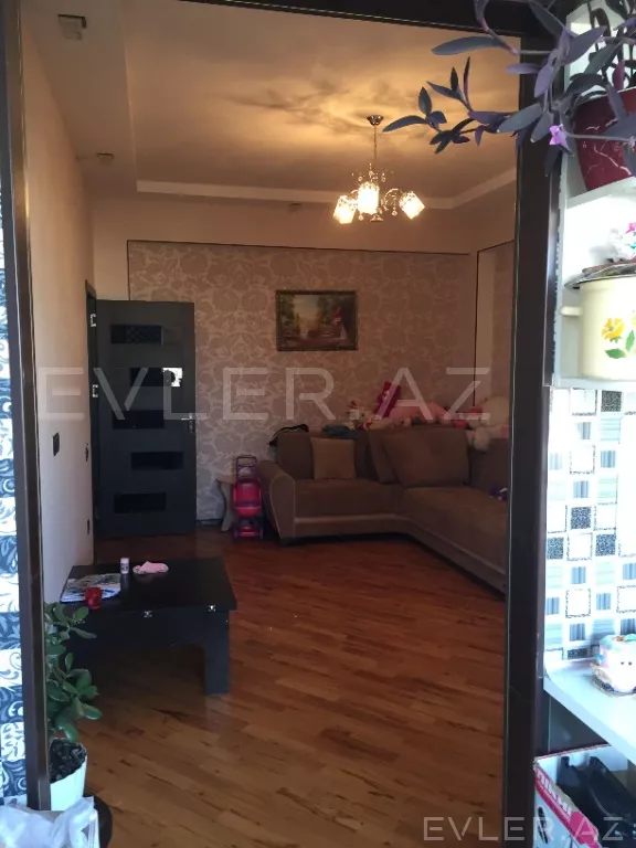 Aylıq, yeni tikili