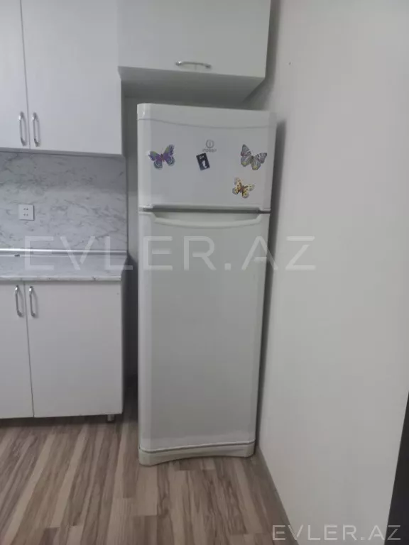 Aylıq, yeni tikili