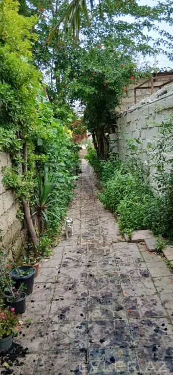 Satılır, həyət evi/villa