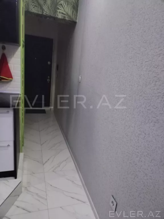 Aylıq, yeni tikili