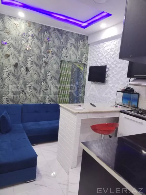 Aylıq, yeni tikili