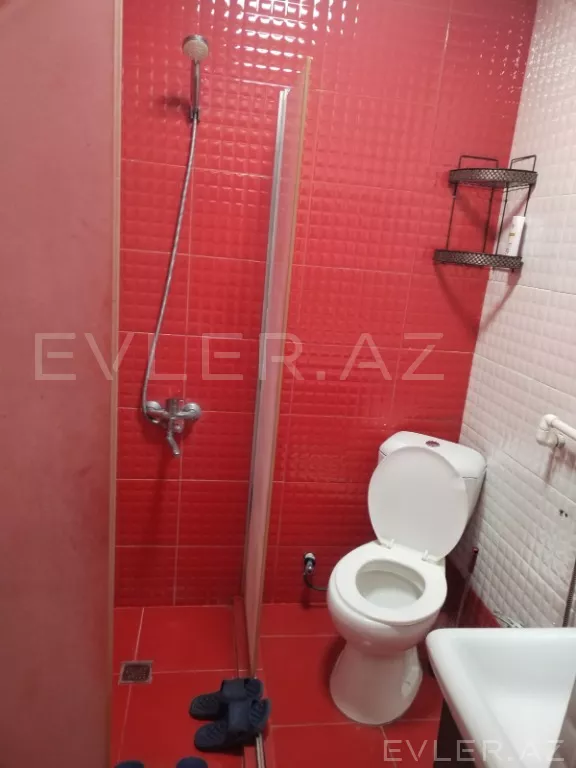 Aylıq, yeni tikili