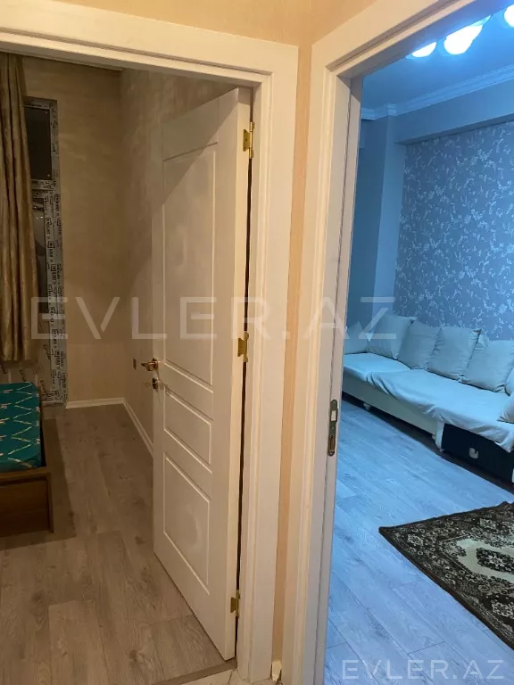 Aylıq, yeni tikili