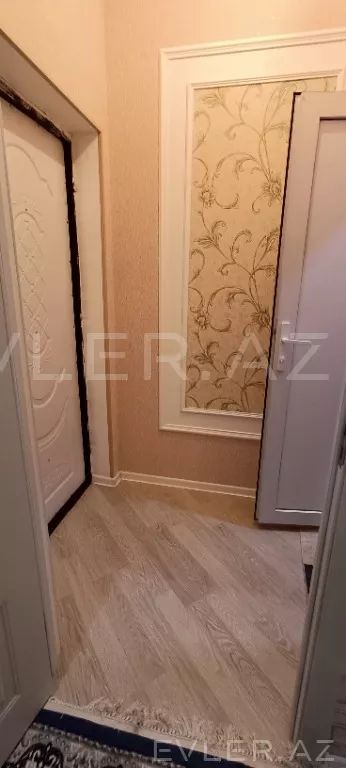Aylıq, yeni tikili