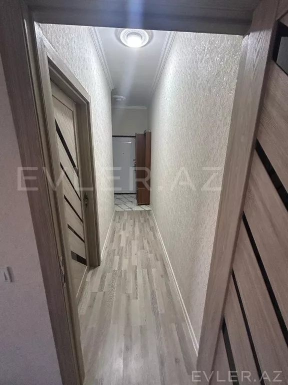 Aylıq, yeni tikili