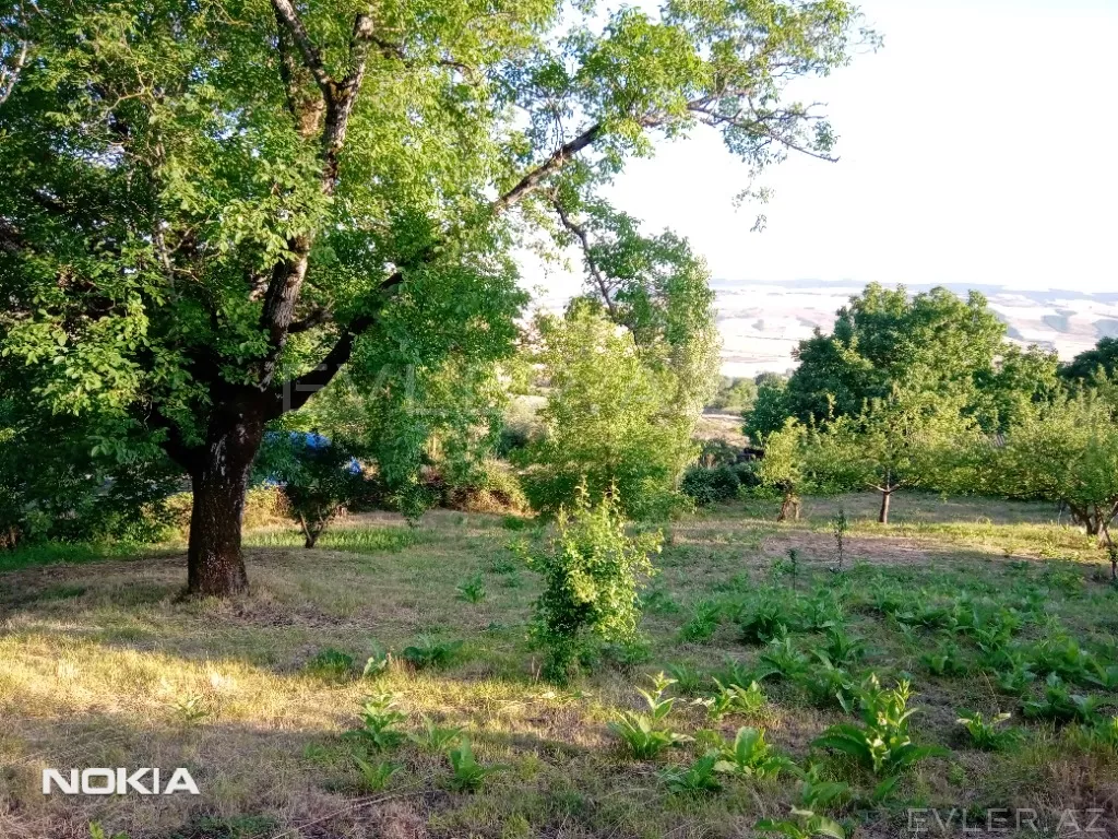 Satılır, torpaq