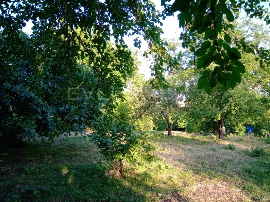 Satılır, torpaq