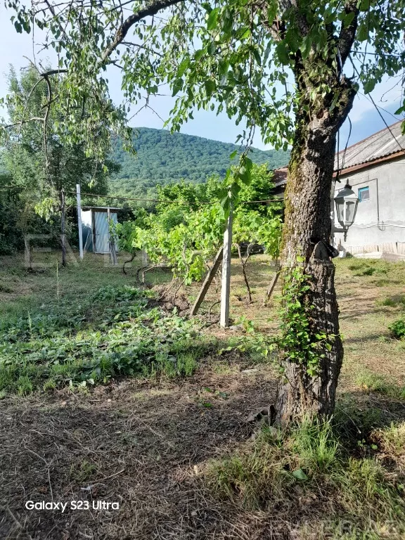 Satılır, torpaq