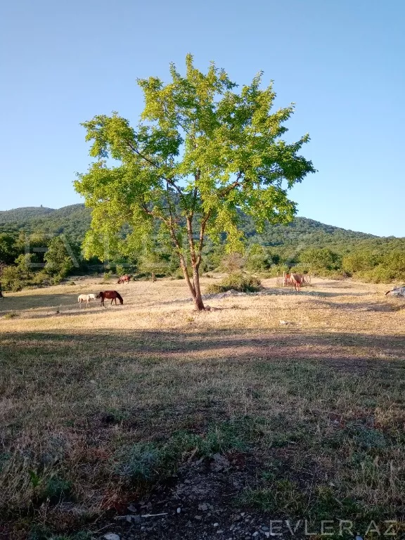 Satılır, torpaq