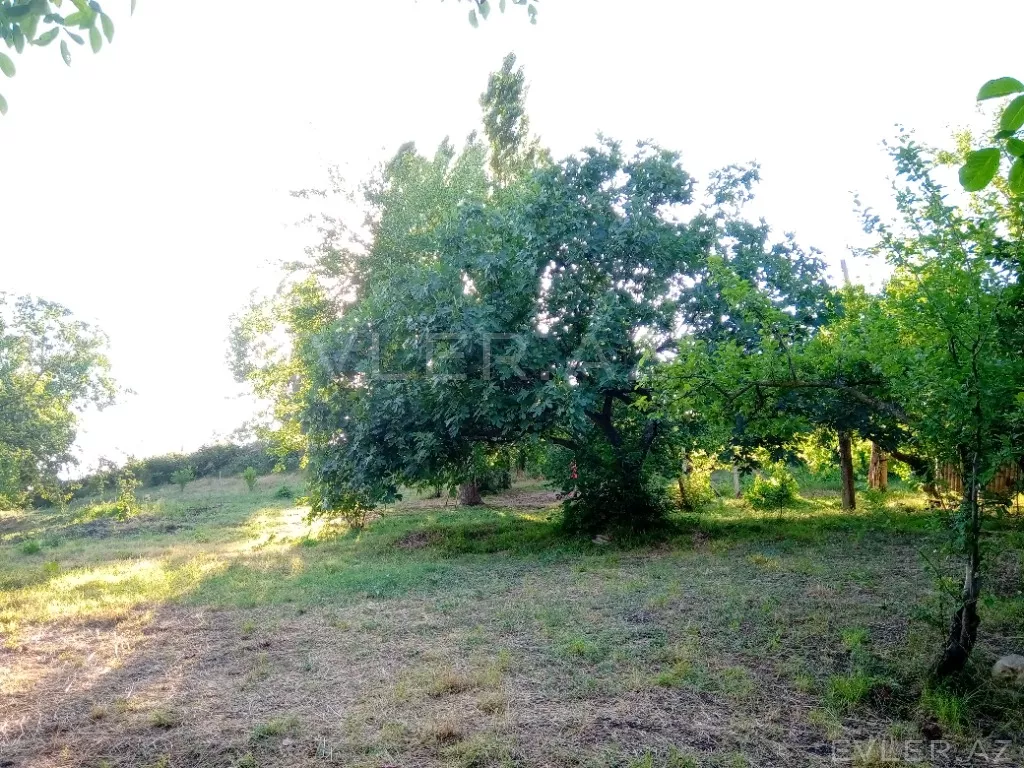 Satılır, torpaq