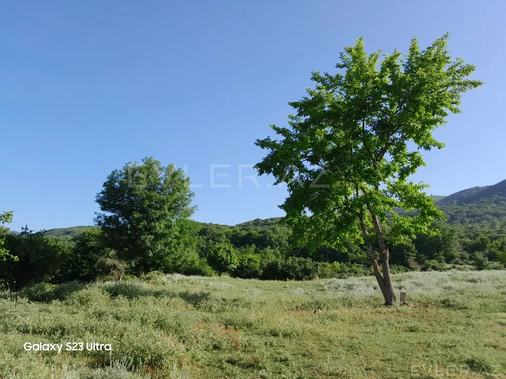 Satılır, torpaq