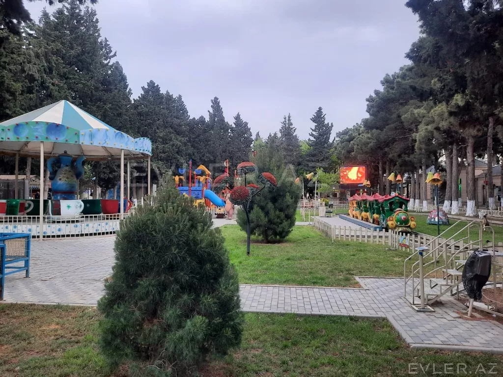 Aylıq, yeni tikili