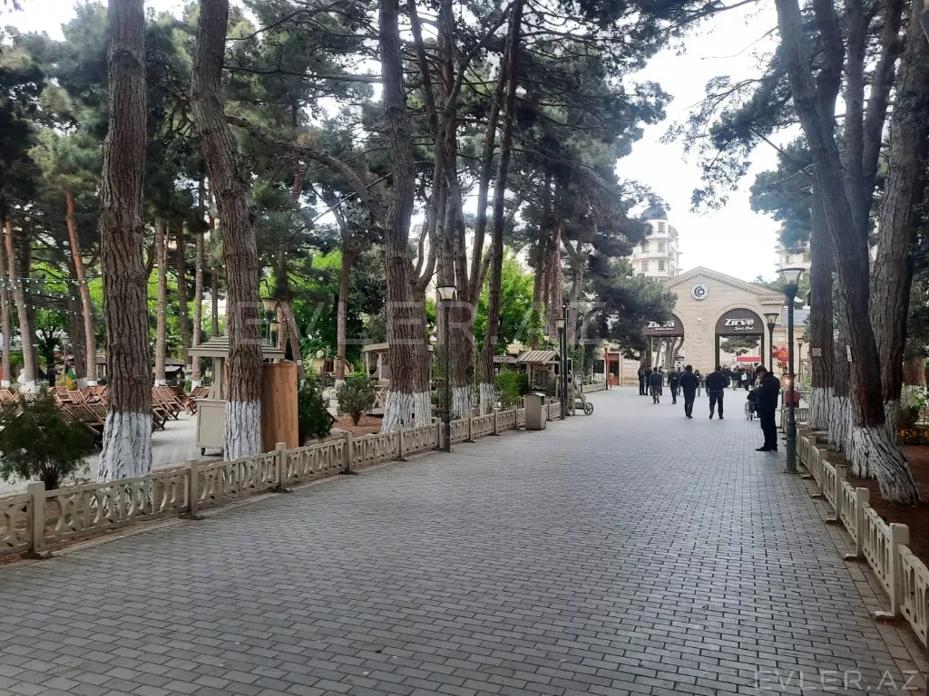 Aylıq, yeni tikili