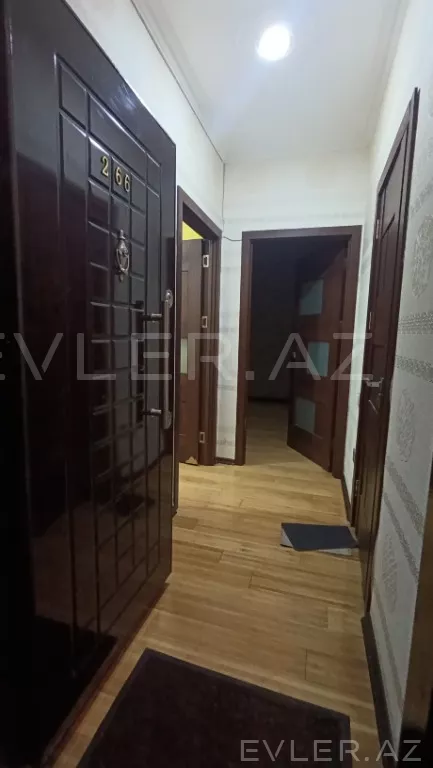 Aylıq, yeni tikili