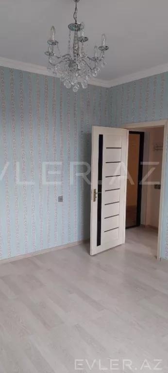 Aylıq, yeni tikili