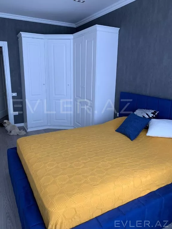 Aylıq, yeni tikili