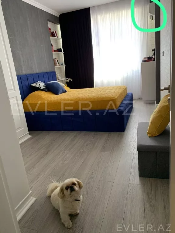Aylıq, yeni tikili