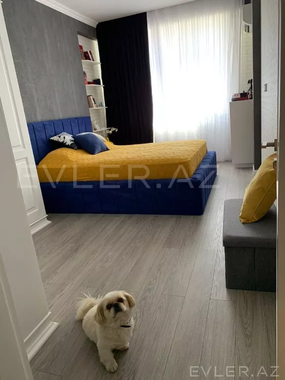 Aylıq, yeni tikili