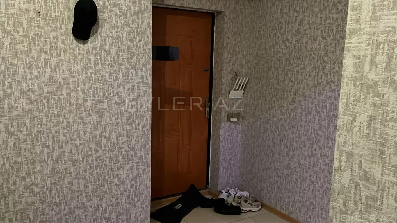 Aylıq, yeni tikili