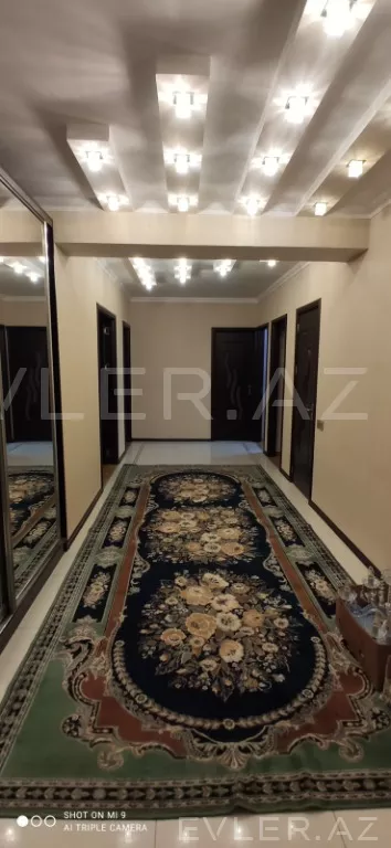 Aylıq, yeni tikili