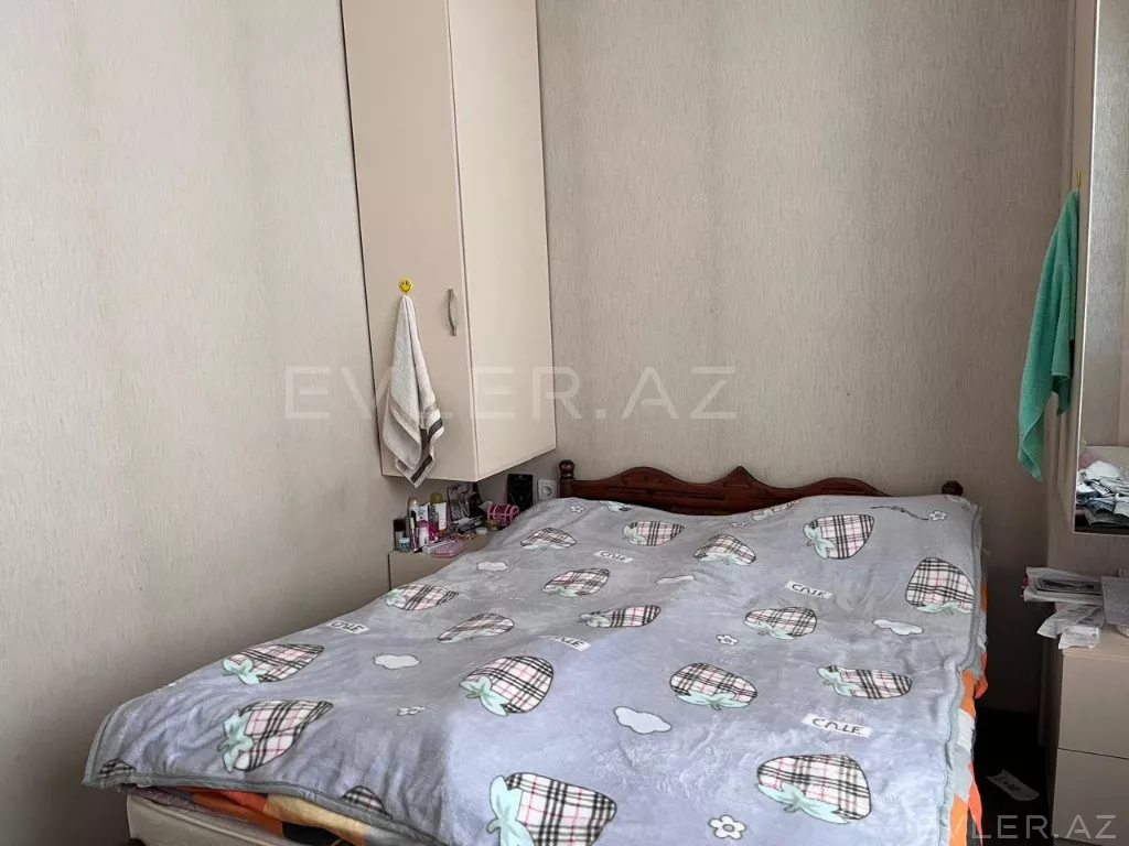 Aylıq, yeni tikili