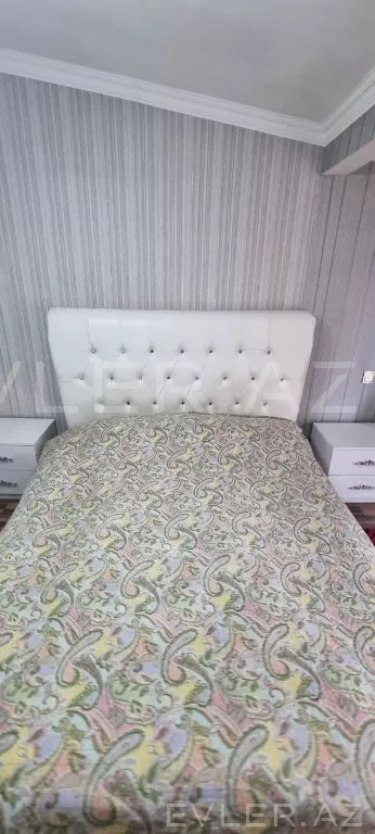 Aylıq, yeni tikili