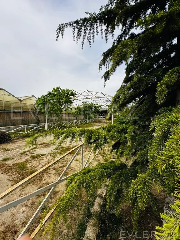 Satılır, yeni tikili