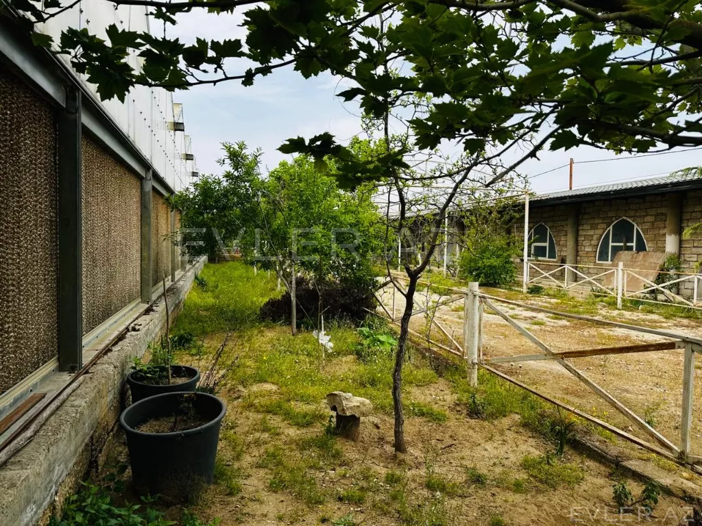 Satılır, yeni tikili