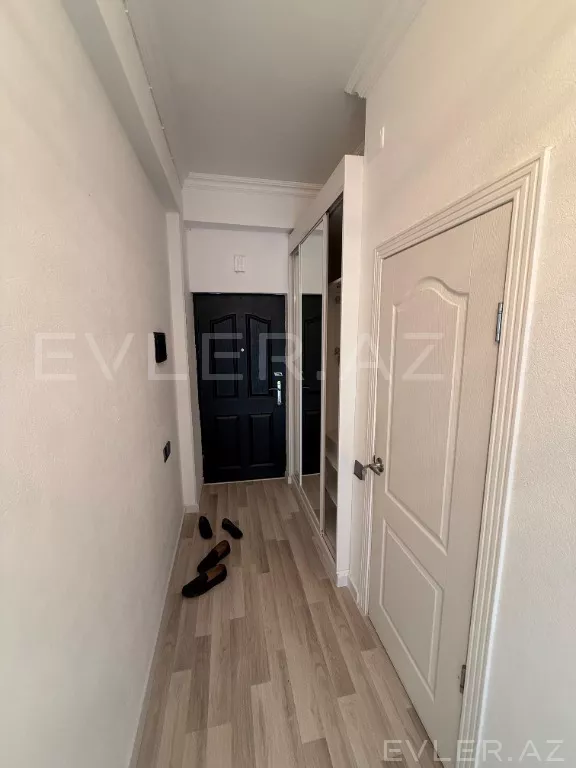 Aylıq, yeni tikili