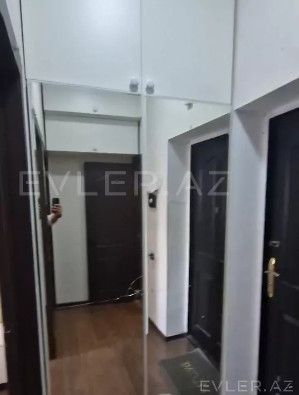 Aylıq, yeni tikili