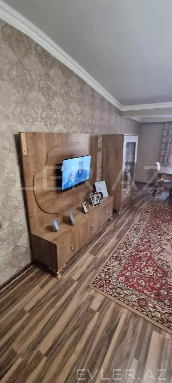 Aylıq, yeni tikili