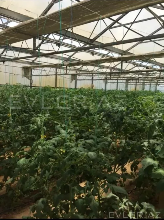 Satılır, yeni tikili